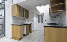 Newton Mulgrave kitchen extension leads